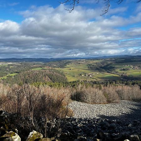 Les Roulottes De La Ferme Des Chanaux Saint-Julien-d'Ance Exteriér fotografie